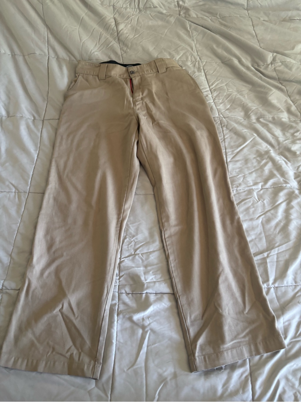 Dickies Skateboarding Jamie Foy Loose Straight Pants In Khaki Tan 32x30